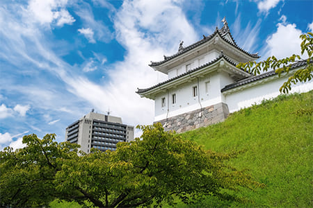 観光スポット一覧