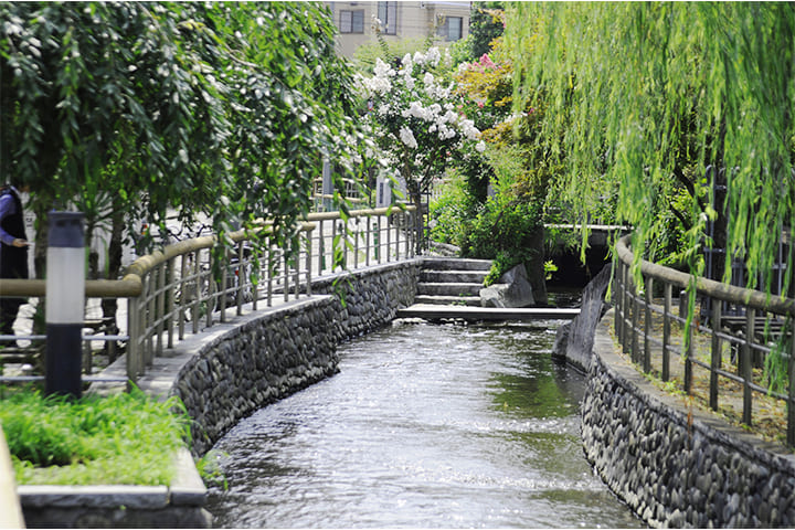 宇都宮ソープランド街の特徴