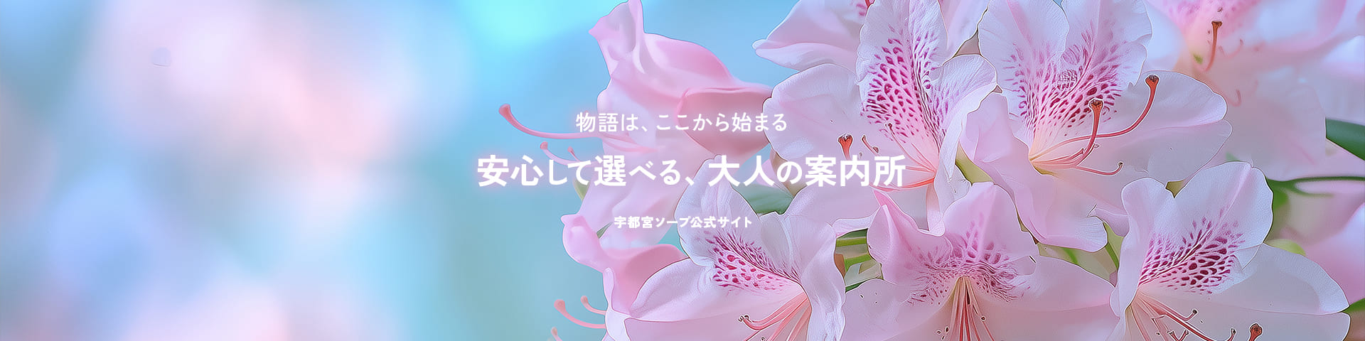 物語は、ここから始まる 安心して選べる、大人の案内所【宇都宮ソープ公式サイト】